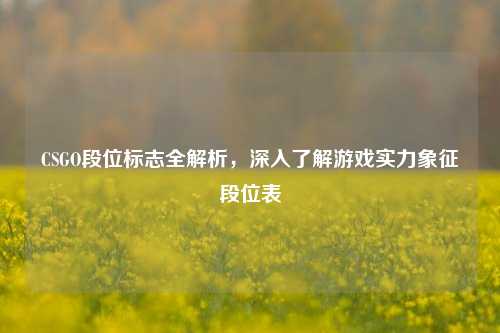 CSGO段位标志全解析,深入了解游戏实力象征段位表