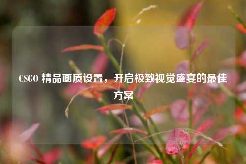 CSGO 精品画质设置,开启极致视觉盛宴的最佳方案