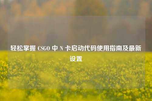轻松掌握 CSGO 中 N 卡启动代码使用指南及最新设置