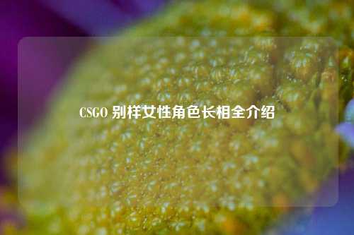 CSGO 别样女性角色长相全介绍