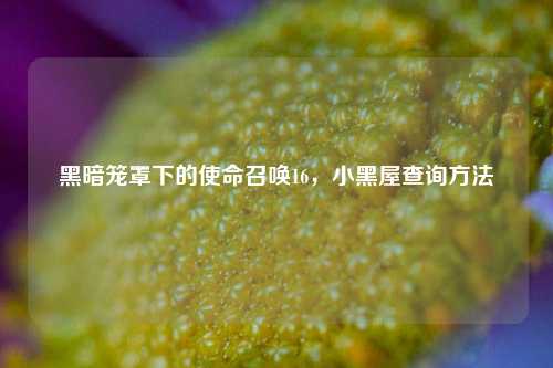 黑暗笼罩下的使命召唤16，小黑屋查询方法