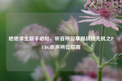 绝地求生新手必知,听音辨位掌握战场先机之PUBG听声辨位指南