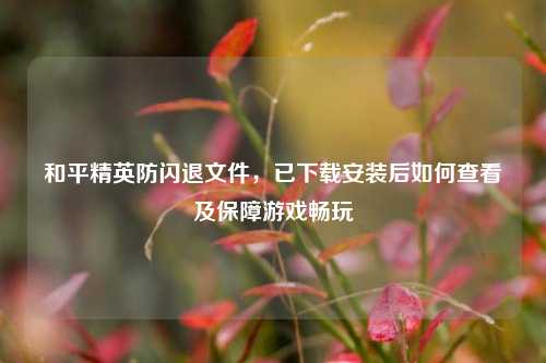 和平精英防闪退文件,已下载安装后如何查看及保障游戏畅玩