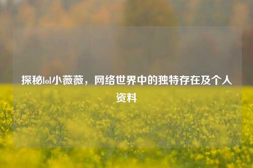 探秘lol小薇薇，网络世界中的独特存在及个人资料