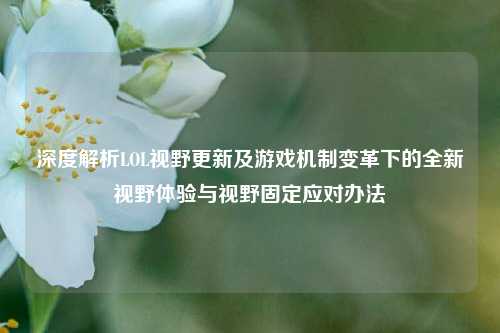 深度解析LOL视野更新及游戏机制变革下的全新视野体验与视野固定应对办法