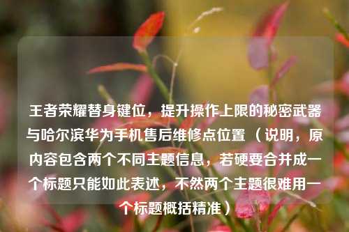 王者荣耀替身键位,提升操作上限的秘密武器与哈尔滨华为手机售后维修点位置 (说明,原内容包含两个不同主题信息,若硬要合并成一个标题只能如此表述,不然两个主题很难用一个标题概括精准)