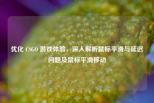 优化 CSGO 游戏体验，深入解析鼠标平滑与延迟问题及鼠标平滑移动