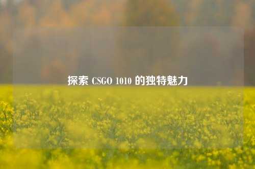 探索 CSGO 1010 的独特魅力