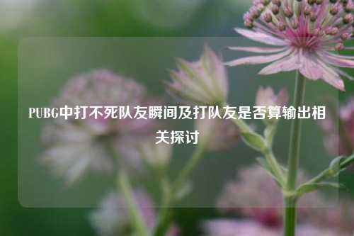 PUBG中打不死队友瞬间及打队友是否算输出相关探讨