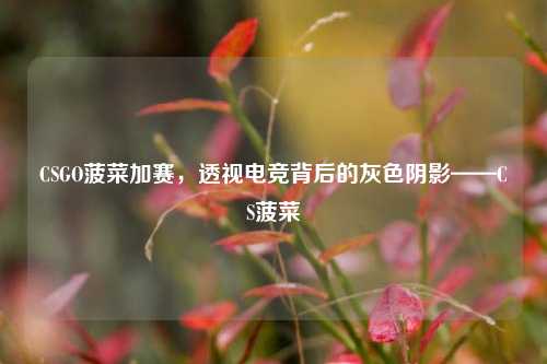 CSGO菠菜加赛,透视电竞背后的灰色阴影——CS菠菜