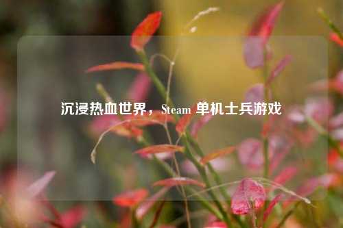 沉浸热血世界，Steam 单机士兵游戏