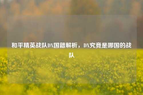 和平精英战队DX国籍解析，DX究竟是哪国的战队