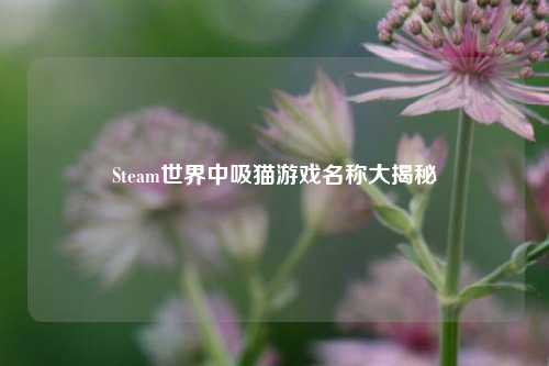 Steam世界中吸猫游戏名称大揭秘