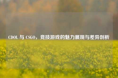 CDOL 与 CSGO,竞技游戏的魅力展现与差异剖析