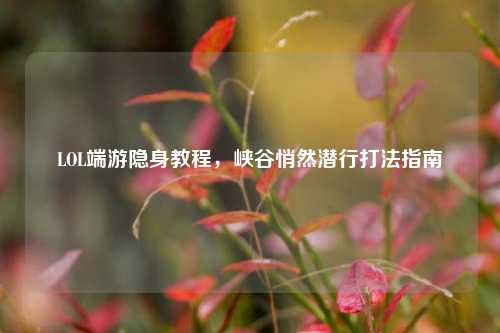 LOL端游隐身教程，峡谷悄然潜行打法指南