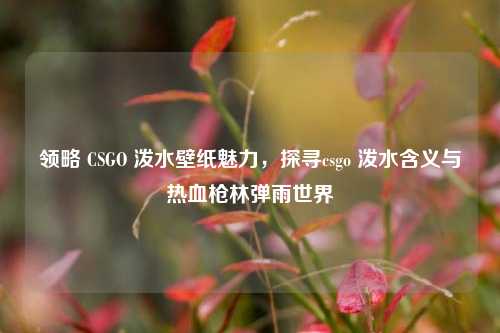 领略 CSGO 泼水壁纸魅力,探寻csgo 泼水含义与热血枪林弹雨世界