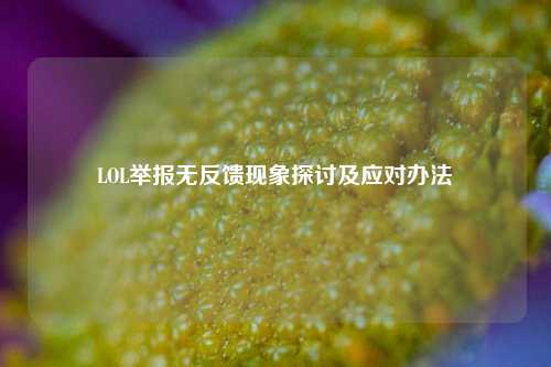 LOL举报无反馈现象探讨及应对办法