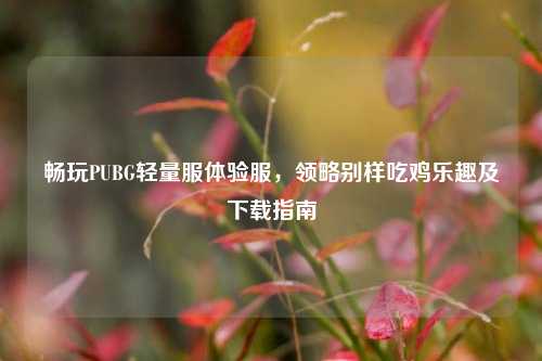 畅玩PUBG轻量服体验服,领略别样吃鸡乐趣及下载指南