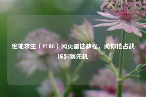 绝地求生（PUBG）网页雷达教程，助你抢占战场洞察先机