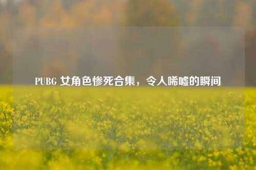 PUBG 女角色惨死合集,令人唏嘘的瞬间