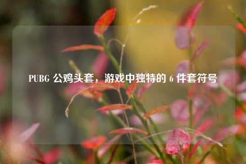 PUBG 公鸡头套,游戏中独特的 6 件套符号
