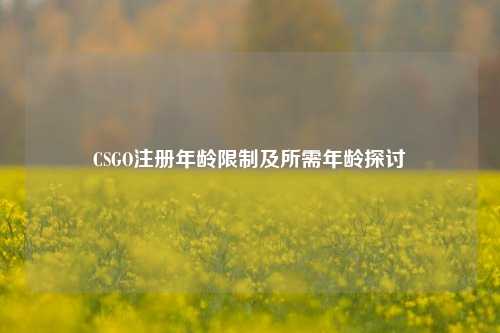 CSGO注册年龄限制及所需年龄探讨