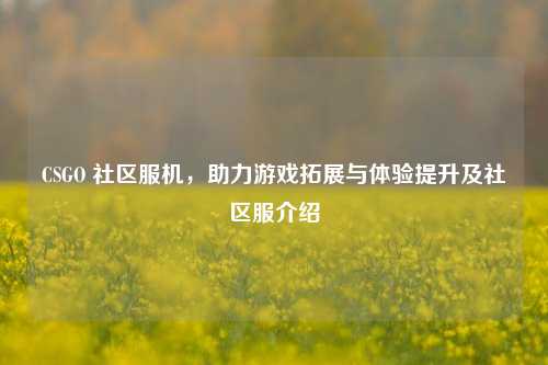 CSGO 社区服机，助力游戏拓展与体验提升及社区服介绍