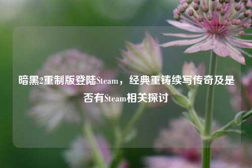 暗黑2重制版登陆Steam,经典重铸续写传奇及是否有Steam相关探讨