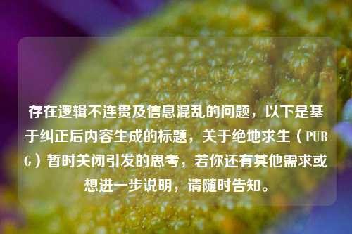 存在逻辑不连贯及信息混乱的问题,以下是基于纠正后内容生成的标题,关于绝地求生(PUBG)暂时关闭引发的思考,若你还有其他需求或想进一步说明,请随时告知。
