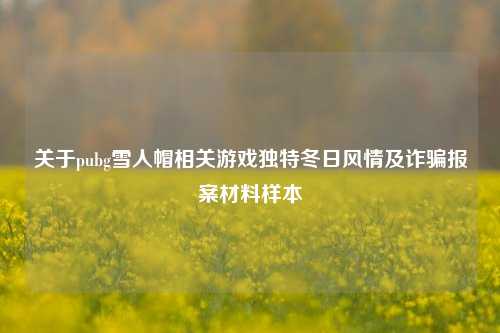 关于pubg雪人帽相关游戏独特冬日风情及诈骗报案材料样本