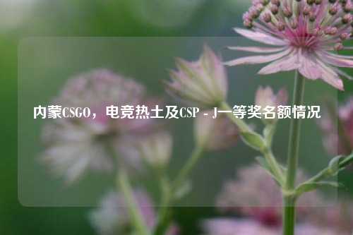 内蒙CSGO,电竞热土及CSP - J一等奖名额情况
