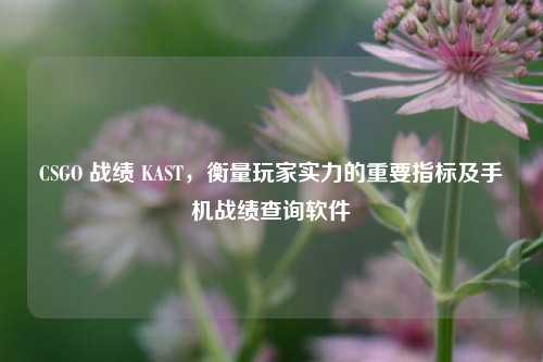 CSGO 战绩 KAST,衡量玩家实力的重要指标及手机战绩查询软件