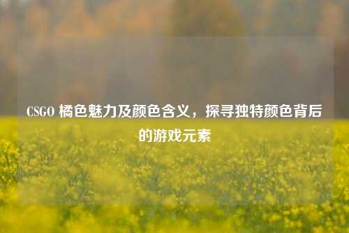 CSGO 橘色魅力及颜色含义,探寻独特颜色背后的游戏元素