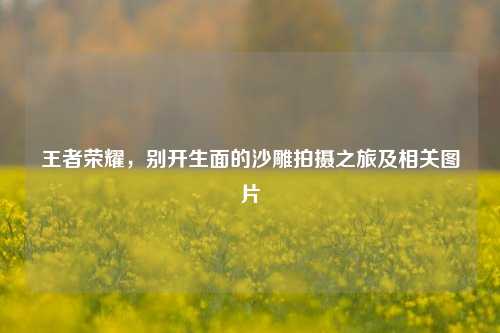 王者荣耀,别开生面的沙雕拍摄之旅及相关图片