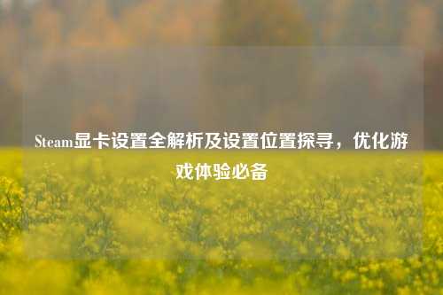 Steam显卡设置全解析及设置位置探寻,优化游戏体验必备