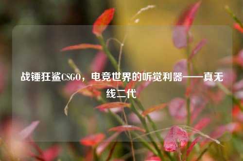 战锤狂鲨CSGO，电竞世界的听觉利器——真无线二代