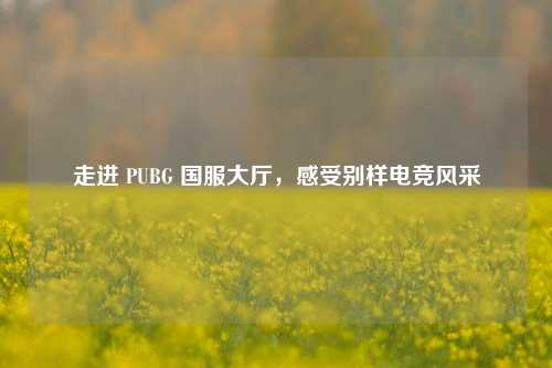走进 PUBG 国服大厅，感受别样电竞风采