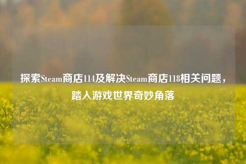 探索Steam商店114及解决Steam商店118相关问题，踏入游戏世界奇妙角落