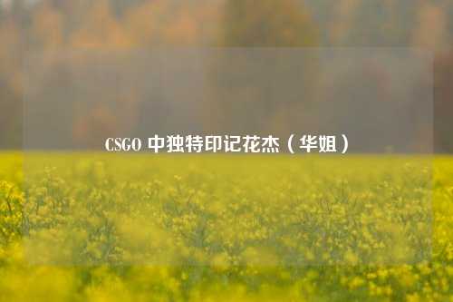 CSGO 中独特印记花杰（华姐）