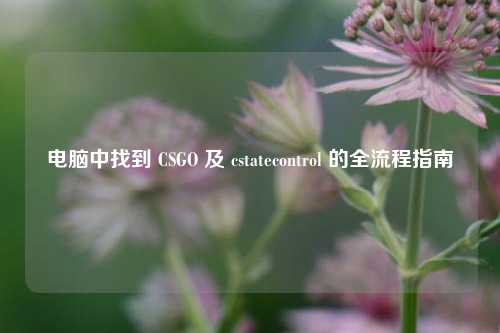 电脑中找到 CSGO 及 cstatecontrol 的全流程指南
