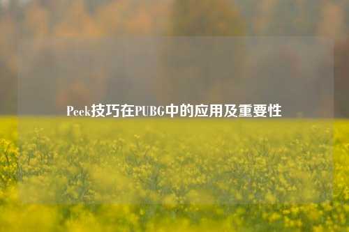 Peek技巧在PUBG中的应用及重要性