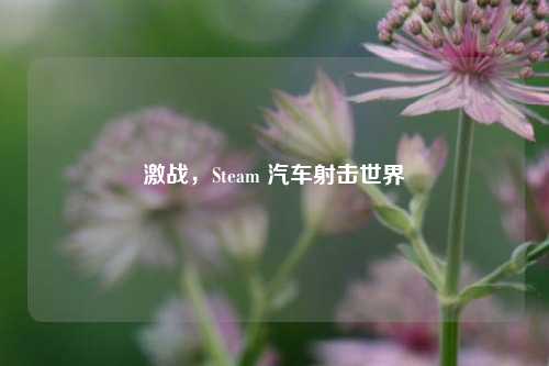 激战，Steam 汽车射击世界