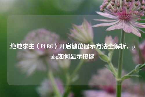 绝地求生(PUBG)开启键位显示方法全解析,pubg如何显示按键