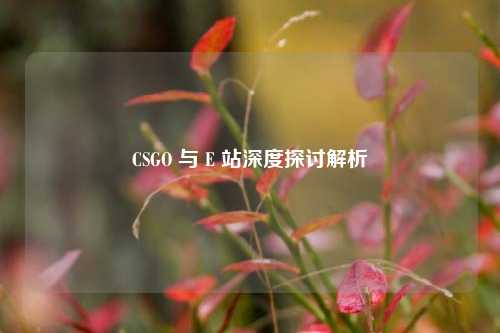 CSGO 与 E 站深度探讨解析