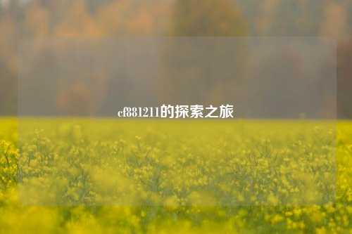 cf881211的探索之旅
