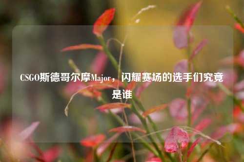 CSGO斯德哥尔摩Major,闪耀赛场的选手们究竟是谁