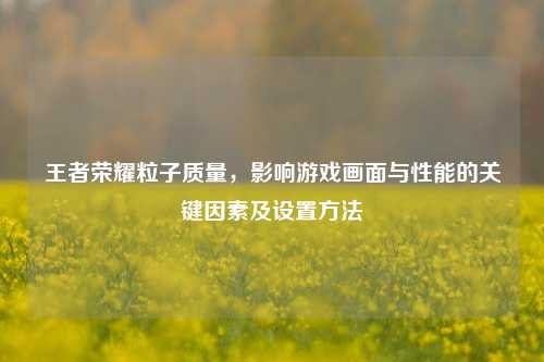 王者荣耀粒子质量,影响游戏画面与性能的关键因素及设置方法