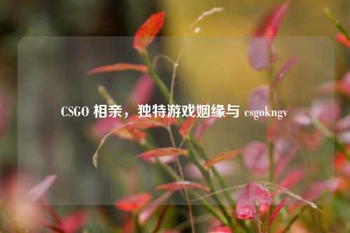 CSGO 相亲,独特游戏姻缘与 csgokngv