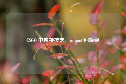 CSGO 中独特技艺，impact 回旋踢