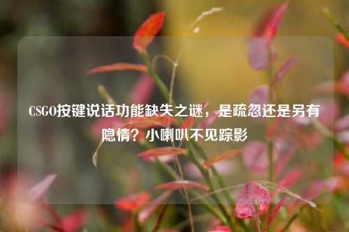 CSGO按键说话功能缺失之谜，是疏忽还是另有隐情？小喇叭不见踪影